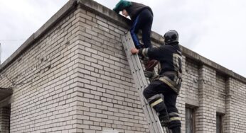 У Білій Церкві рятувальники зняли дитину з даху будівлі