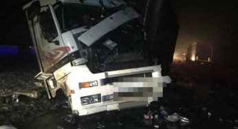 На Одеській трасі біля Білої Церки зіткнулись дві вантажівки: один водій загинув