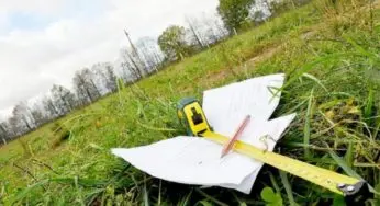 На Білоцерківщині незаконно передали в оренду 37 га лісу: триває судова справа