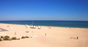 Медузи, високі ціни та “хамський” сервіс: як “вмирають” українські курорти Азовського моря