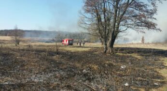 17 гектарів білоцерківської землі випалено в урочищі Голіндерня