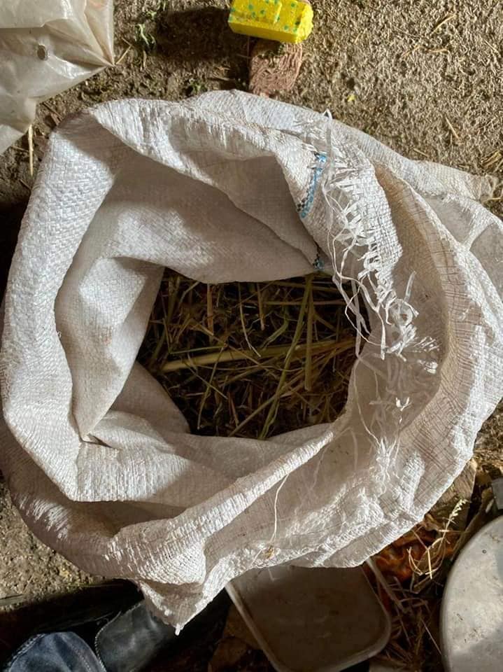 Обшуки провела поліція у Білій Церкві , фото-2