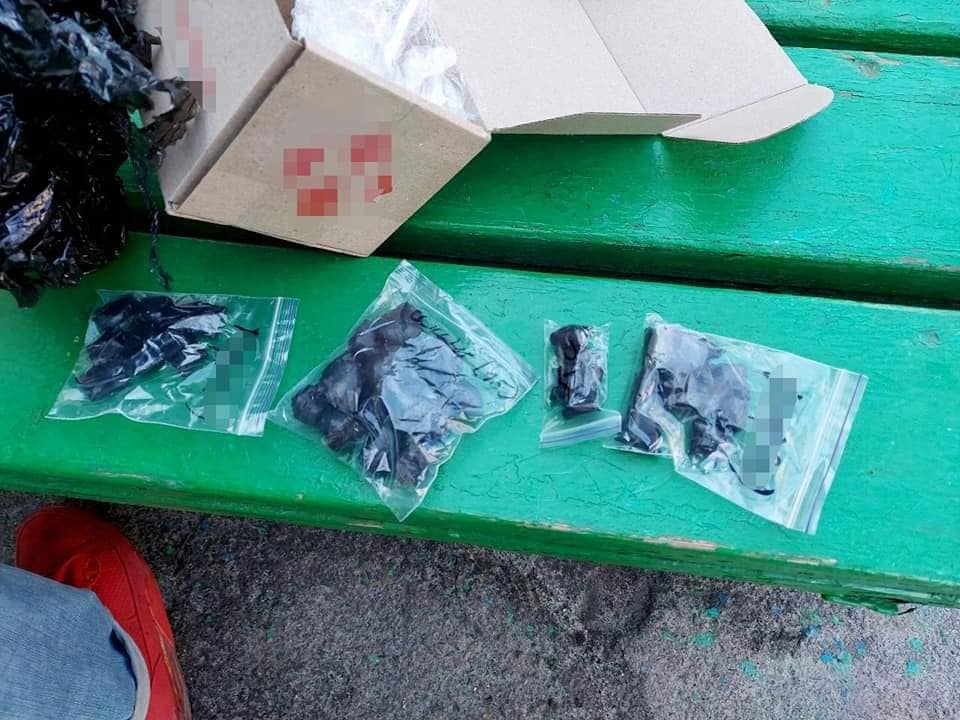 Обшуки провела поліція у Білій Церкві , фото-4