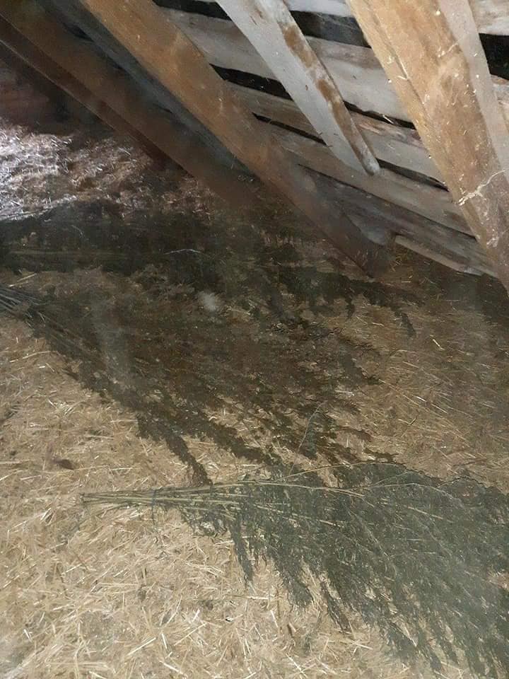 Обшуки провела поліція у Білій Церкві , фото-3