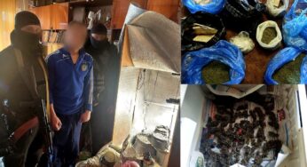 Білоцерківські поліцейські вилучили канабіс в особливо великих розмірах