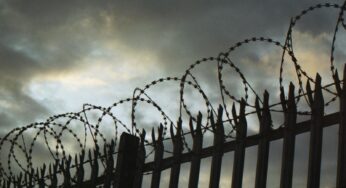 “Смотрящого” за СІЗО засуджено за цілу низку злочинів: у Білій Церкві він 7 років тому забив насмерть перехожого
