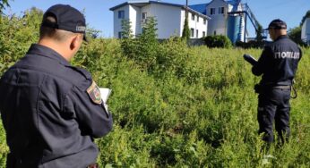 У Білій Церкві земельний шахрай ошукав пенсіонера на суму понад 500 тис грн