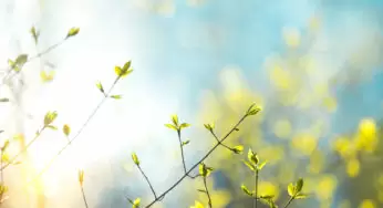 Вихідні в Білій Церкві будуть теплими, але з сюрпризами