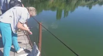 Черкаські екологи розповіли про стан річки Рось (Фото)