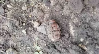 У Білій Церкві знешкоджено 15 вибухонебезпечних предметів часів минулих війн