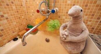 9-10 жовтня у Білій Церкві буде відсутнє водопостачання: проводитиметься планова промивка водопровідних мереж