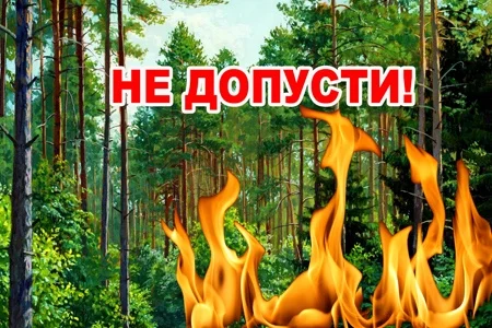 пожежі на київщині, екосистеми в київській області, екосистеми на київщині, пожежі лісів на київщині