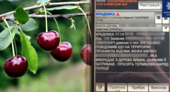 Білоцерківських патрульних викликали на крадіжу вишень